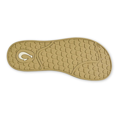 Toastd Coconut / Tostd Coconut