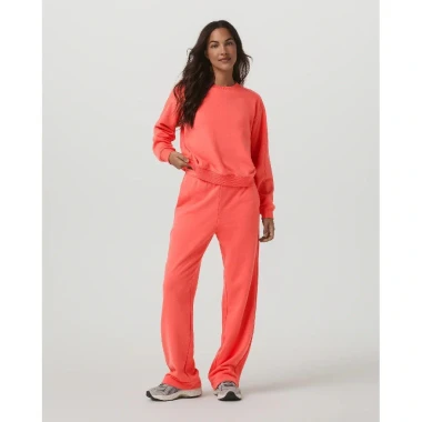 Bright Coral
