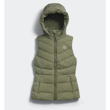 Vireo Green
