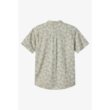 Light Khaki