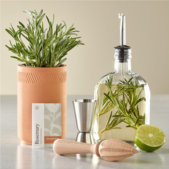 Cocktail Infusion Kit