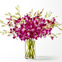Positively Purple Orchid Bouquet