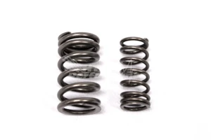 2017-2025 GSX-R1000 Heavy Duty Valve Spring Set 