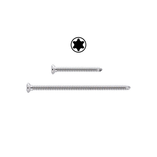 2.0mm Cortical Screw, Self-tap, T6 Star, Stainless-6mm
