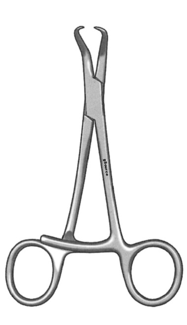 gSource Stagbeetle Forceps 4.75none