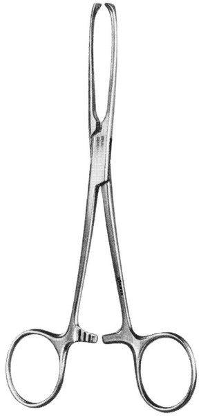 gSource Allis Tissue Forceps 4.75none 4x5 Teeth