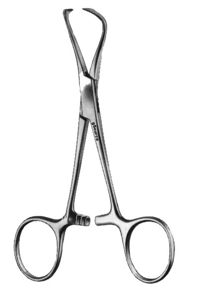 gSource Lorna Towel Forceps (Edna) 4none
