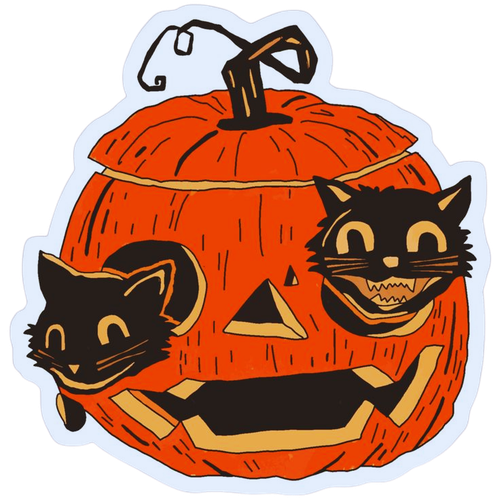 Kitty & Pumpkin