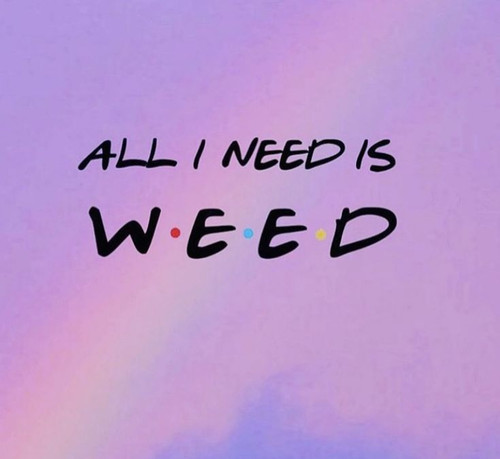 All I Need Is WEED