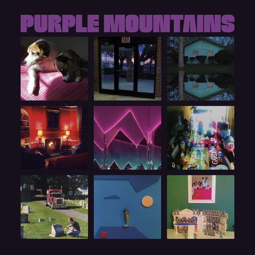 Purple Mountains s/t LP (David Berman)