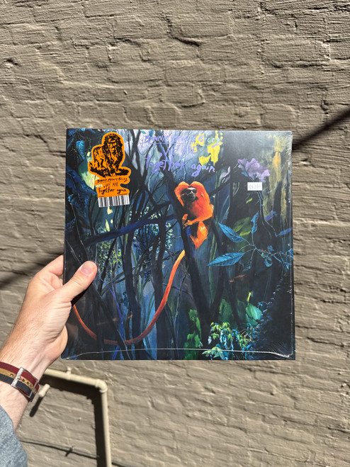 Bonnie Prince Billy "We are Together Again" LP