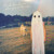 Phoebe Bridgers "Stranger In The Alps" LP