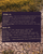 "Hospitality State of Mind: Vol. 2" (curated by Lenny Kaye) LP