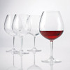 Polycarbonate Red Wine Glasses Set of 4