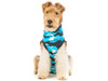 https://d3d71ba2asa5oz.cloudfront.net/12014880/images/suitical-rsuit-dog-xxxs%20blue%20camo2.jpg