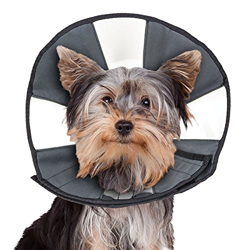 comfortable e collar