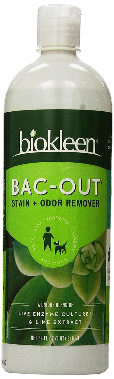 Bac-Out Carpet Stain + Odor Remover - 16 Fl Oz