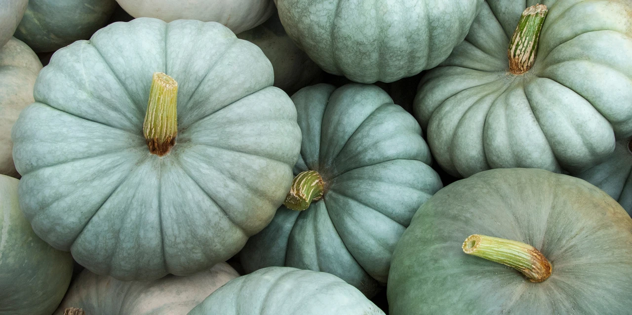 October Horoscope