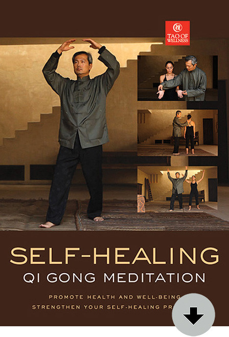 SelfHealing Qi Gong Digital Download The Wellness Living Store