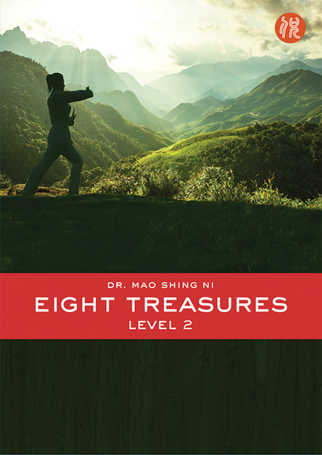 Eight Treasures Level 2 DVD