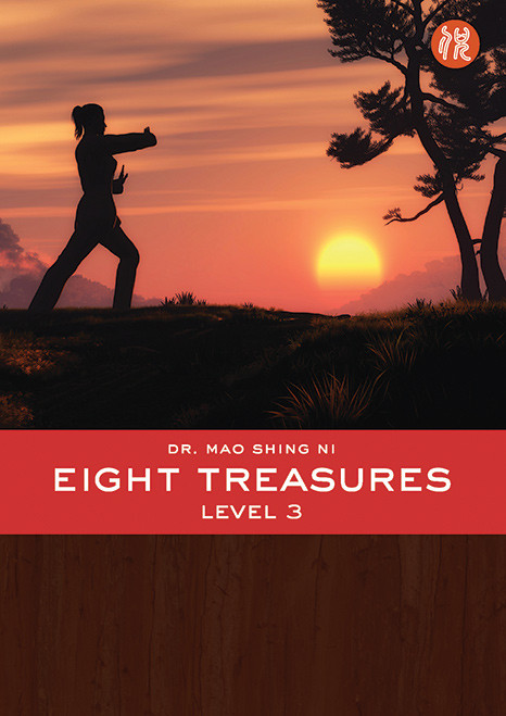 Eight Treasures Level 3 DVD