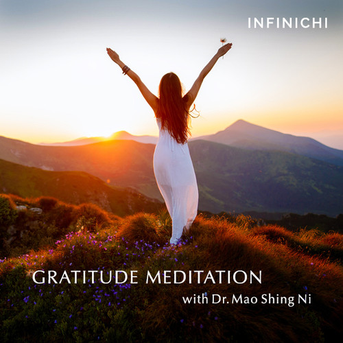 Gratitude Meditation Download