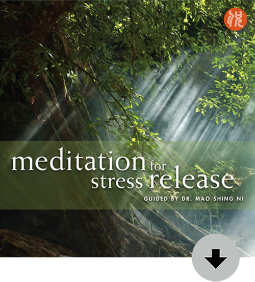 Meditations for Stress Release Digital Download