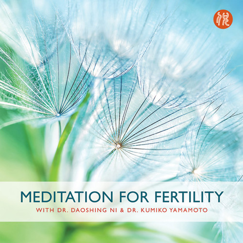 Meditations for Fertility Digital Download