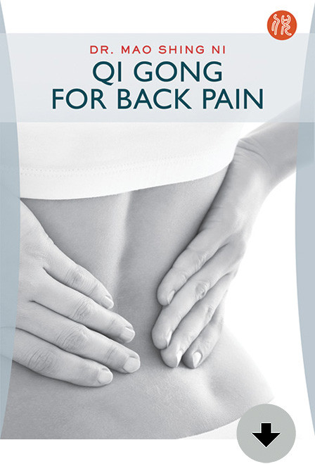 Qi Gong for Back Pain Download