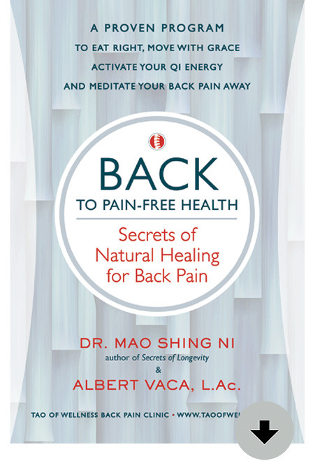 BACK to Pain-Free Health eBook