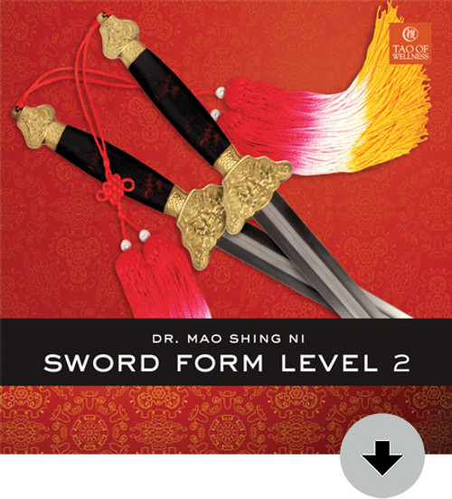 Sword Form Level 2 Download