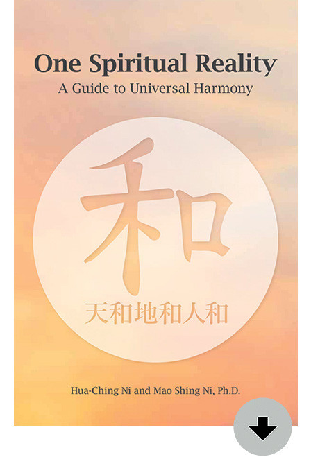 One Spiritual Reality: A Guide to Universal Harmony eBook