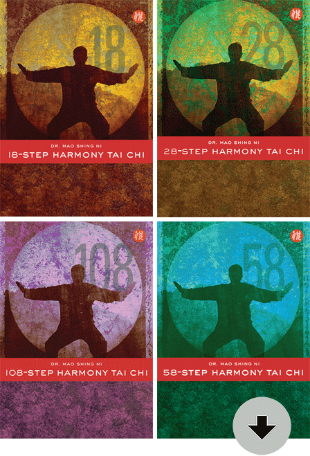 Harmony Tai Chi Set Download