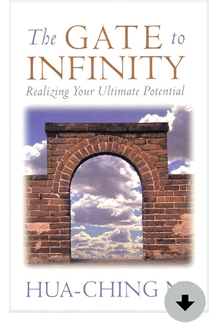 The Gate to Infinity eBook