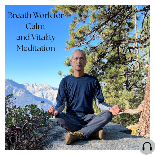 Breath Work for Calm and Vitality Download