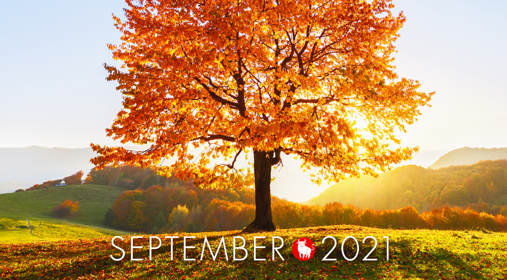 september-landing2021.jpg september-landing2021.jpg
