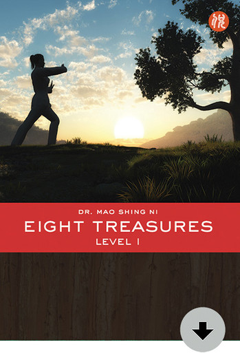 Thumbnail of Eight Treasures - Level 1 Download