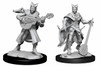 Dungeons & Dragons Nolzurs Marvelous Miniatures Tiefling Bard Female