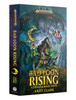 Bad Loon Rising (Paperback)