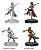 Dungeons & Dragons Nolzurs Marvelous Miniatures Human Monk Female 2023 Dungeons & Dragons Nolzurs Marvelous Miniatures Human Monk Female 2023
