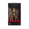 Star Wars The Black Series Geonosian Warrior Action Figure (6”)