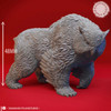 YKS Miniatures - Owlbear (XL)