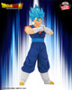 Dragon Ball Super Blood of Saiyans: Vegito Figure