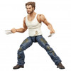Marvel Legends Series The Cavillrine