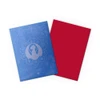 Dragon Shield Sleeves Standard Size 100pk - Matte Dual Art - Izzet League