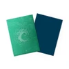 Dragon Shield Sleeves Standard Size 100pk - Matte Dual Art - Simic Combine