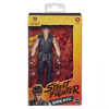 Street Fighter Dark Ryu 6-Inch Action Figure