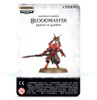 Bloodmaster Herald of Khorne