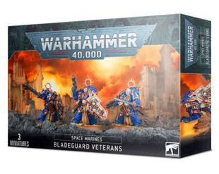 Space Marines Bladeguard Veterans