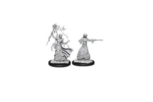 Dungeons & Dragons Nolzurs Marvelous Miniatures Elf Female Wizard Dungeons & Dragons Nolzurs Marvelous Miniatures Elf Female Wizard